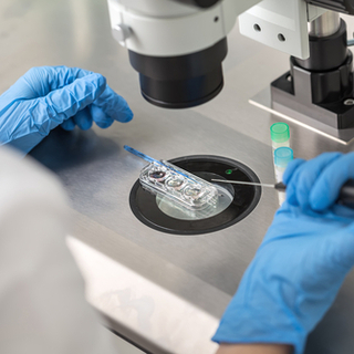 الإخصاب في المختبر