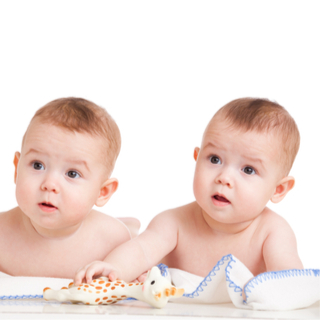 التوأم المتطابق