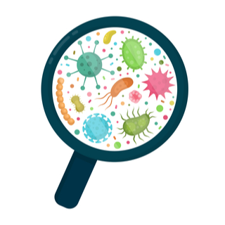 مراقبة ظهور أي علامات للعدوى