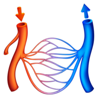 الشعيرات الدموية