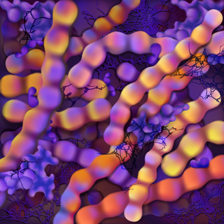 أسباب التهاب اللوزتين