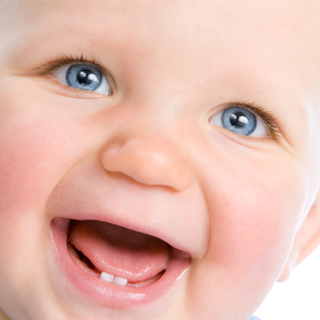 الأسنان المؤقتة