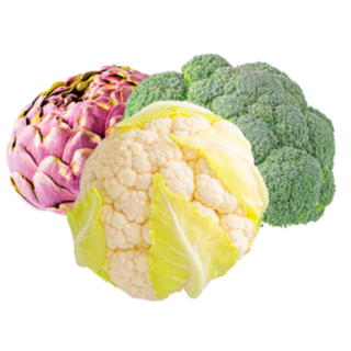 4. الخضار الزهرية 4. الخضار الزهرية