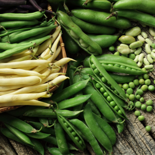 7. الخضار البذرية 7. الخضار البذرية