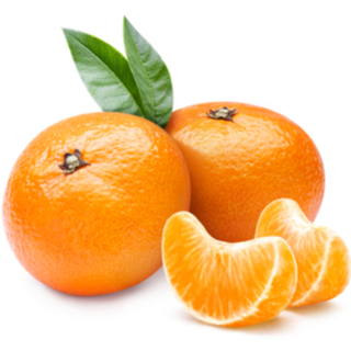 برتقال المندرين 