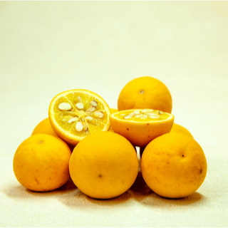 برتقال ترايفوليت