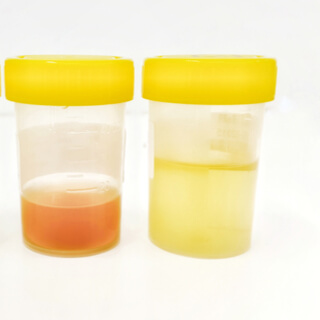 الفحص النظري