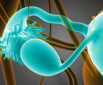 أجزاء قناة فالوب