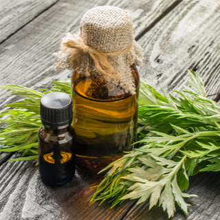 شيح ابن سينا