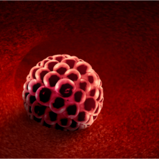 اليوم الرابع والخامس والسادس