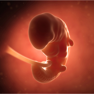 اليوم السابع والثامن 