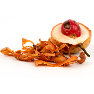 الصولجان (Mace)