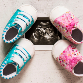 علامات تحدد نوع الجنين بالسونار