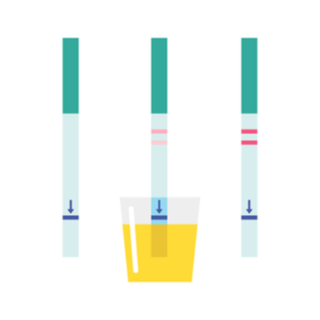 4. اختبار الحمل عن طريق البول