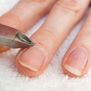 عدم العبث بالأدمة