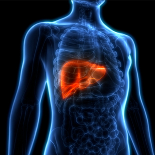 المرحلة الأولى من تليف الكبد