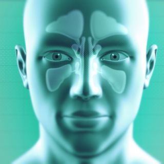 وظائف الجيوب الأنفية