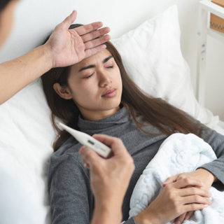 عشبة المرة والحمى