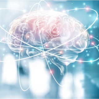 إكليل الجبل وفوائده لدماغ