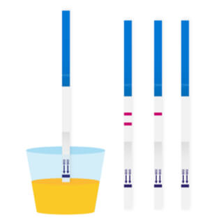 إجراء الإختبار