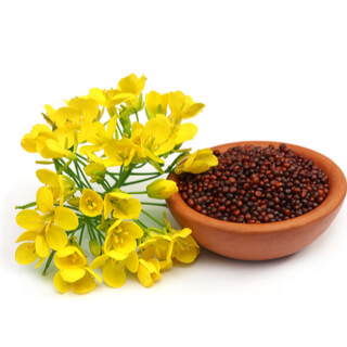 5. نبات الخردل 