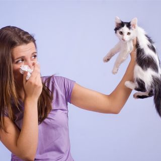 تجنب التعرض لمسبب الحساسية