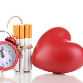 القلب والأوعية الدموية القلب والأوعية الدموية