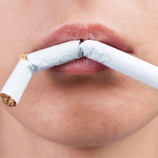 الشفتان الشفتان