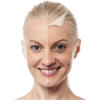 3. تجديد الخلايا الجلدية 3. تجديد الخلايا الجلدية