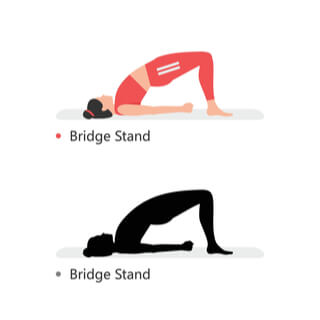 تمرين الحوض