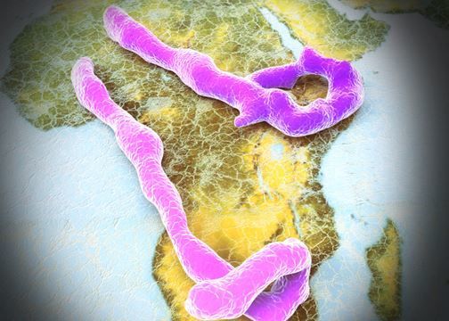 ما المناطق التي تنتشر فيها الإيبولا؟