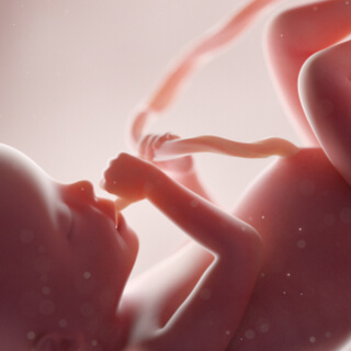 3. عدم وصول الأكسجين للجنين 3. عدم وصول الأكسجين للجنين