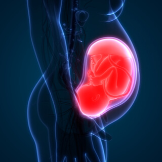 4. وجود تشوهات خلقية 4. وجود تشوهات خلقية