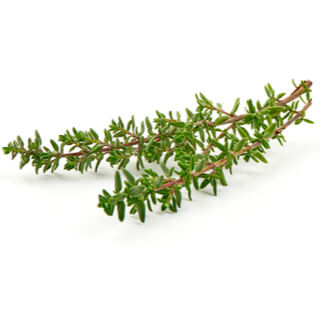 1. الزعتر (Thyme) 1. الزعتر (Thyme)