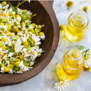 3. البابونج الروماني (Roman Chamomile) 3. البابونج الروماني (Roman Chamomile)