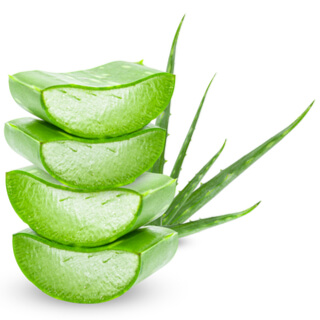 5. الألوفيرا (Aloe vera) 5. الألوفيرا (Aloe vera)