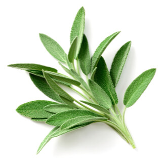 6. المرمية (sage) 6. المرمية (sage)