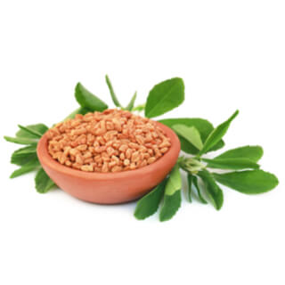 7. الحلبة (Fenugreek) 7. الحلبة (Fenugreek)
