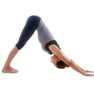 تمرين حركة الكلب 