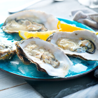 المحار المحار