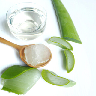 طريقة استخراج جل الصبار