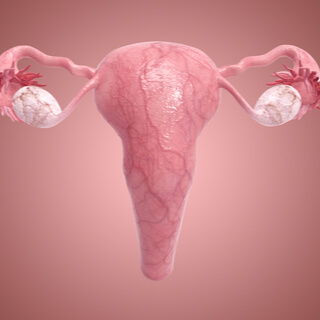 تلف قنوات فالوب 