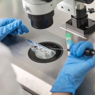 علاجات العقم