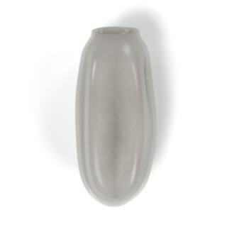 3. بيض بق الفراش