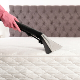 نصائح للتخلص من حشرات الفراش