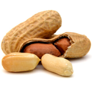 2. المكسرات (Nuts) 2. المكسرات (Nuts)