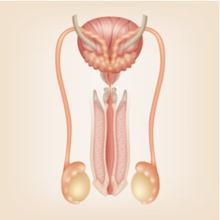 3. تضخّم الخصيتين وكيس الصفن