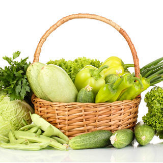 التغذية التغذية