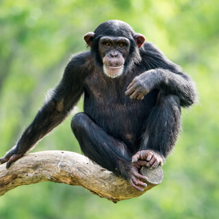 أسباب ظهور فيروس الإيدز 