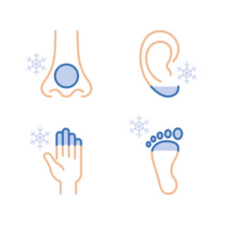 1. انخفاض تدفق الدم (Reduced Blood Flow)